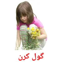 گول کرن picture flashcards