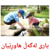 یاری لەگەڵ هاوڕێیان Tarjetas didacticas