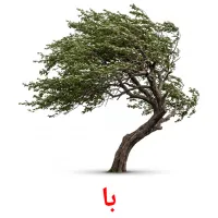 با bildkort för barn