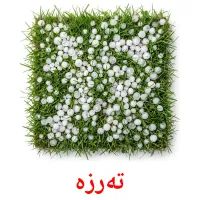 تەرزە bildkort för barn
