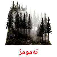 تەمومژ bildkort för barn