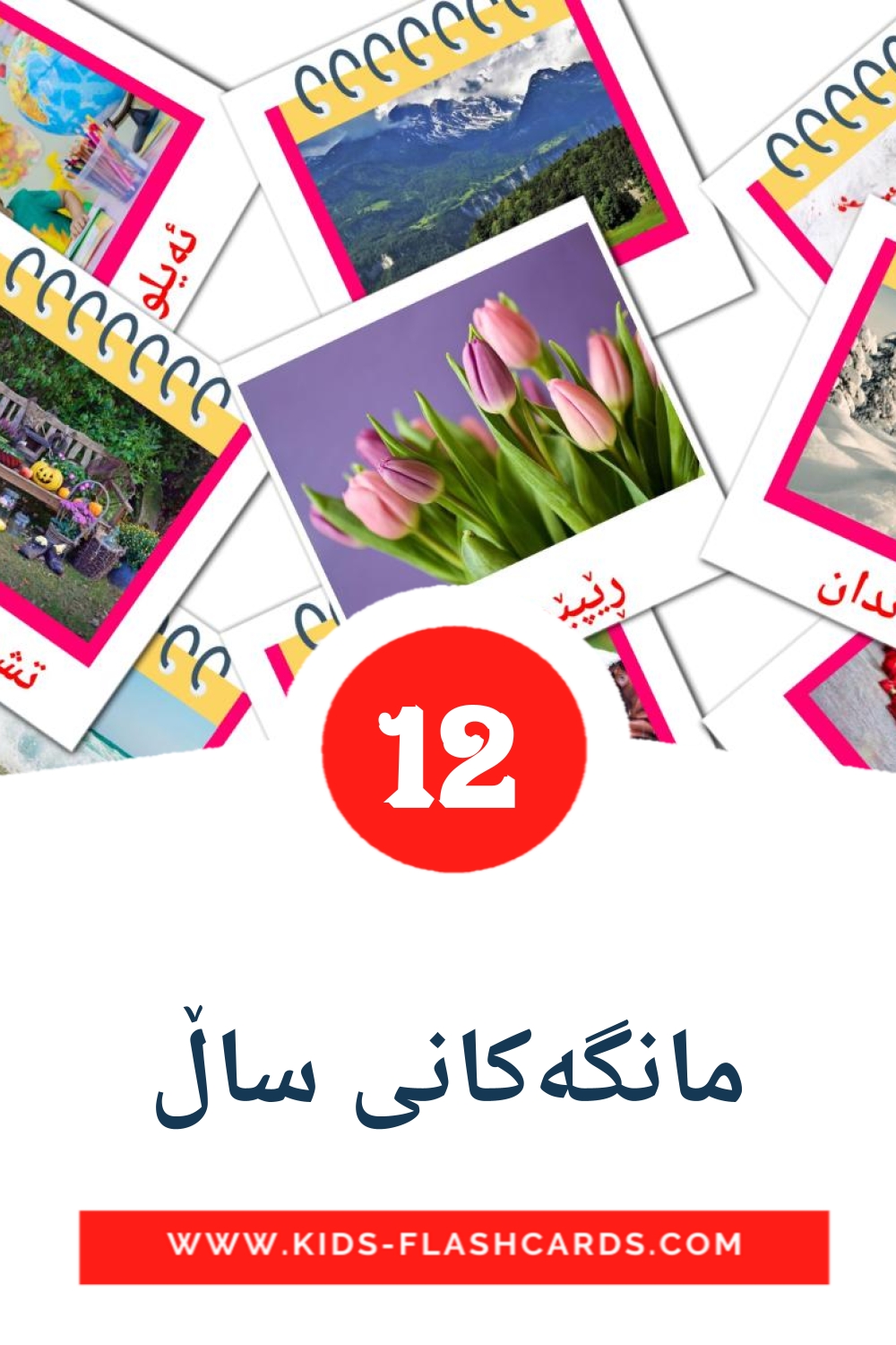 12 مانگەکانی ساڵ Picture Cards for Kindergarden in kurdish(sorani)
