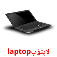 لاپتۆپlaptop cartes flash