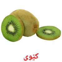 کێوی flashcards illustrate