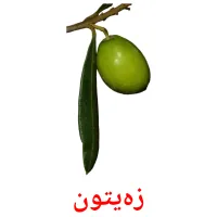 زەیتون flashcards illustrate