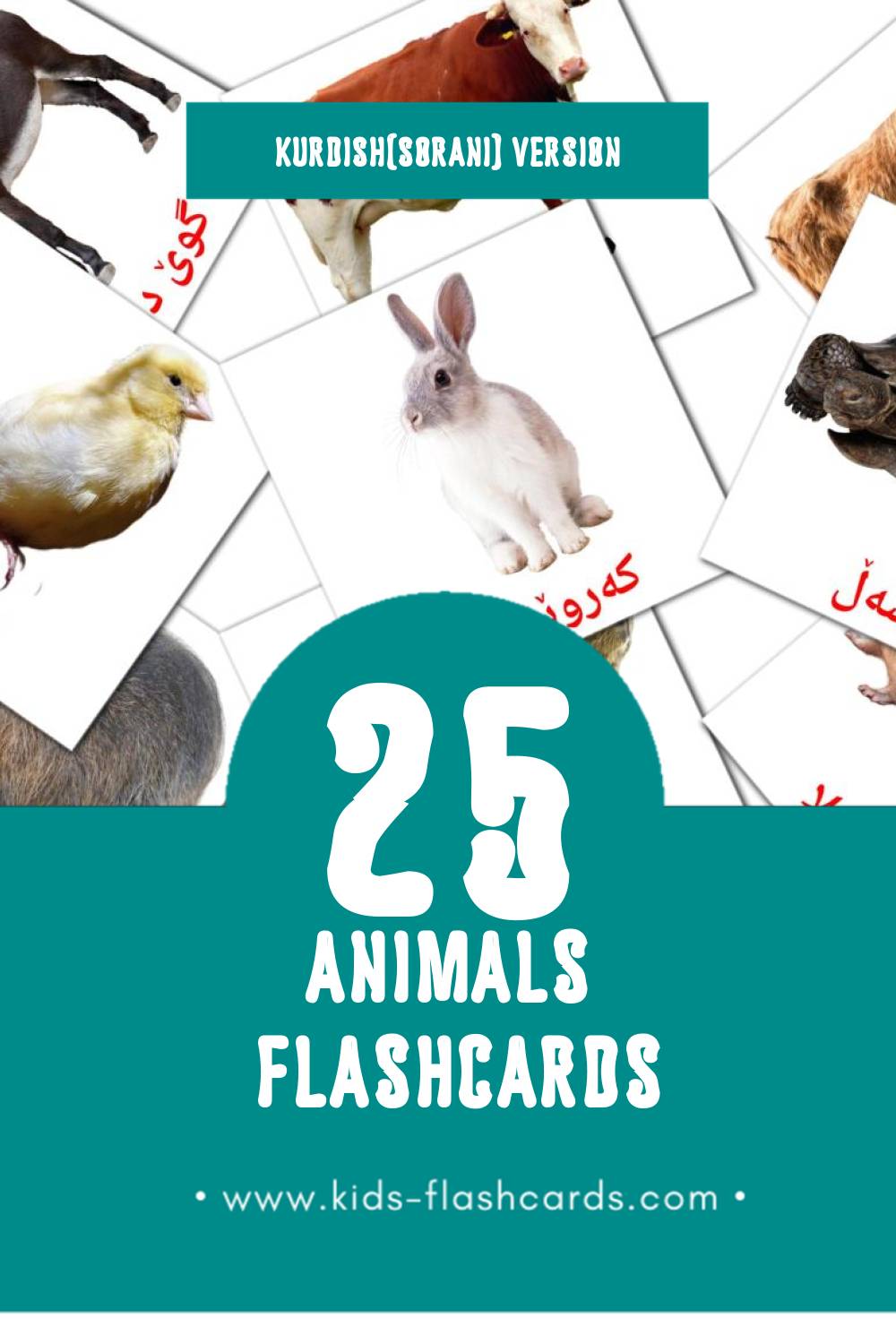 Visual ئاژەڵەکان  Flashcards for Toddlers (25 cards in Kurdish(sorani))