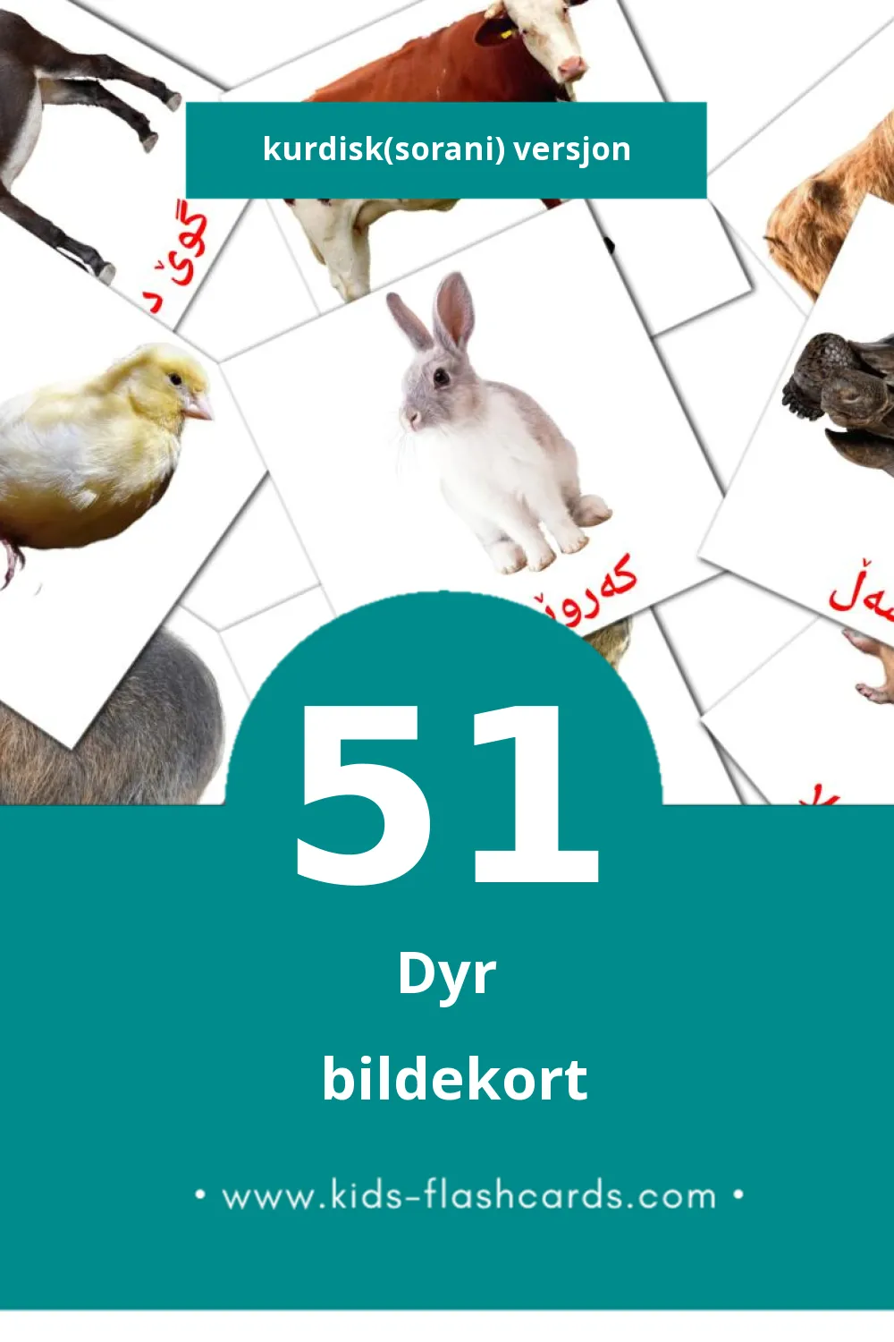 Visuelle ئاژەڵەکان  bildekort for småbarn (51 kort på Kurdisk(sorani))