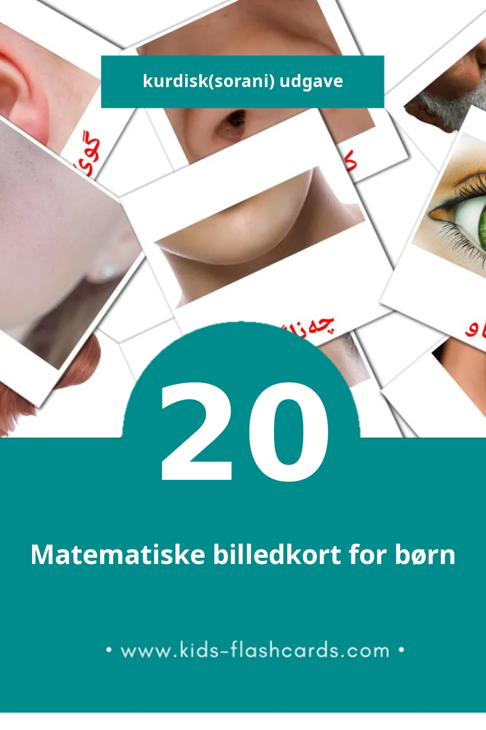 Visuelle billedkort for børn om مرۆڤ til småbørn (20 kort på Kurdisk(sorani))