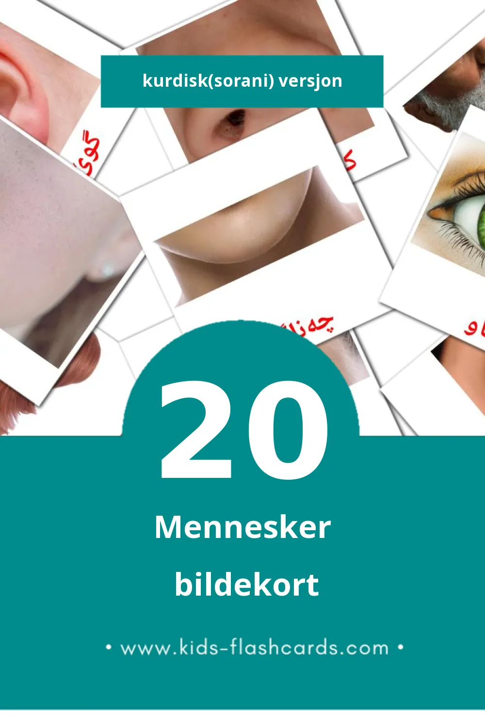 Visuelle مرۆڤ bildekort for småbarn (20 kort på Kurdisk(sorani))