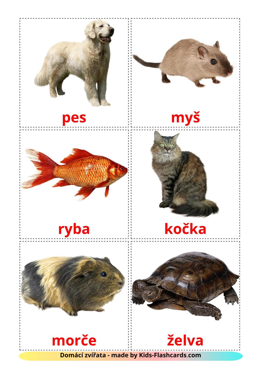 Domestic animals - 11 Free Printable czech Flashcards 