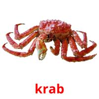 krab picture flashcards