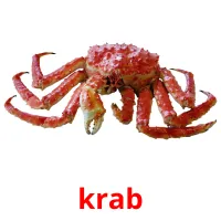 krab Tarjetas didacticas