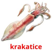 krakatice picture flashcards