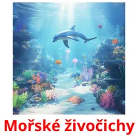 Mořské živočichy Tarjetas didacticas