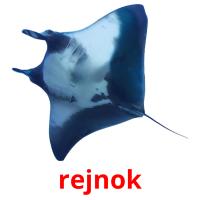 rejnok card for translate