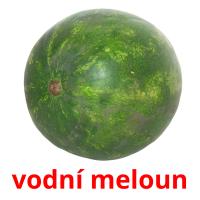 vodní meloun picture flashcards