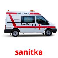 sanitka card for translate