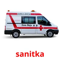 sanitka Tarjetas didacticas