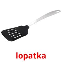 lopatka picture flashcards