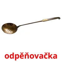 odpěňovačka Bildkarteikarten