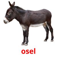 osel picture flashcards