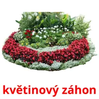 květinový záhon карточки энциклопедических знаний