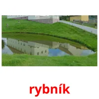 rybník карточки энциклопедических знаний