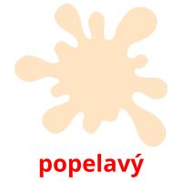 popelavý picture flashcards