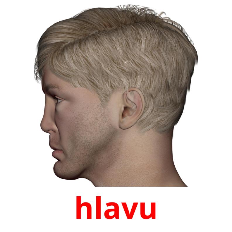 hlavu picture flashcards