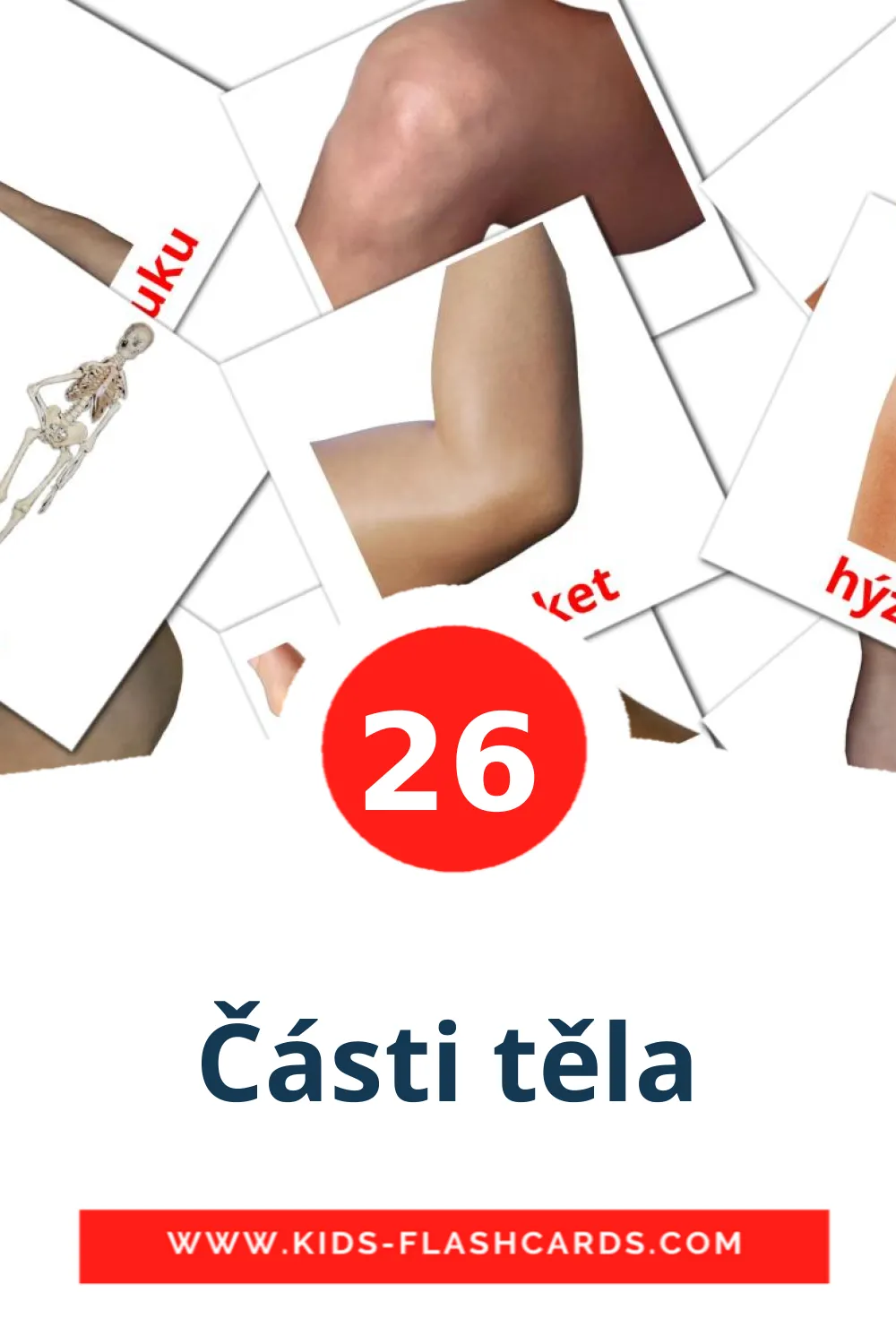 26 cartes illustrées de Části těla pour la maternelle en tchèque