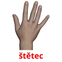 štětec cartes flash