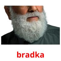 bradka picture flashcards