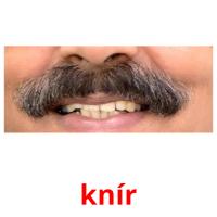 knír picture flashcards