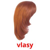 vlasy picture flashcards