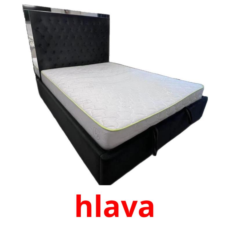 hlava picture flashcards