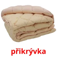 přikrývka Tarjetas didacticas