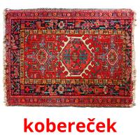 kobereček card for translate