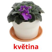 květina card for translate