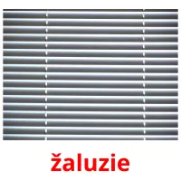 žaluzie picture flashcards