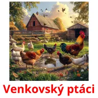 Venkovský ptáci Tarjetas didacticas