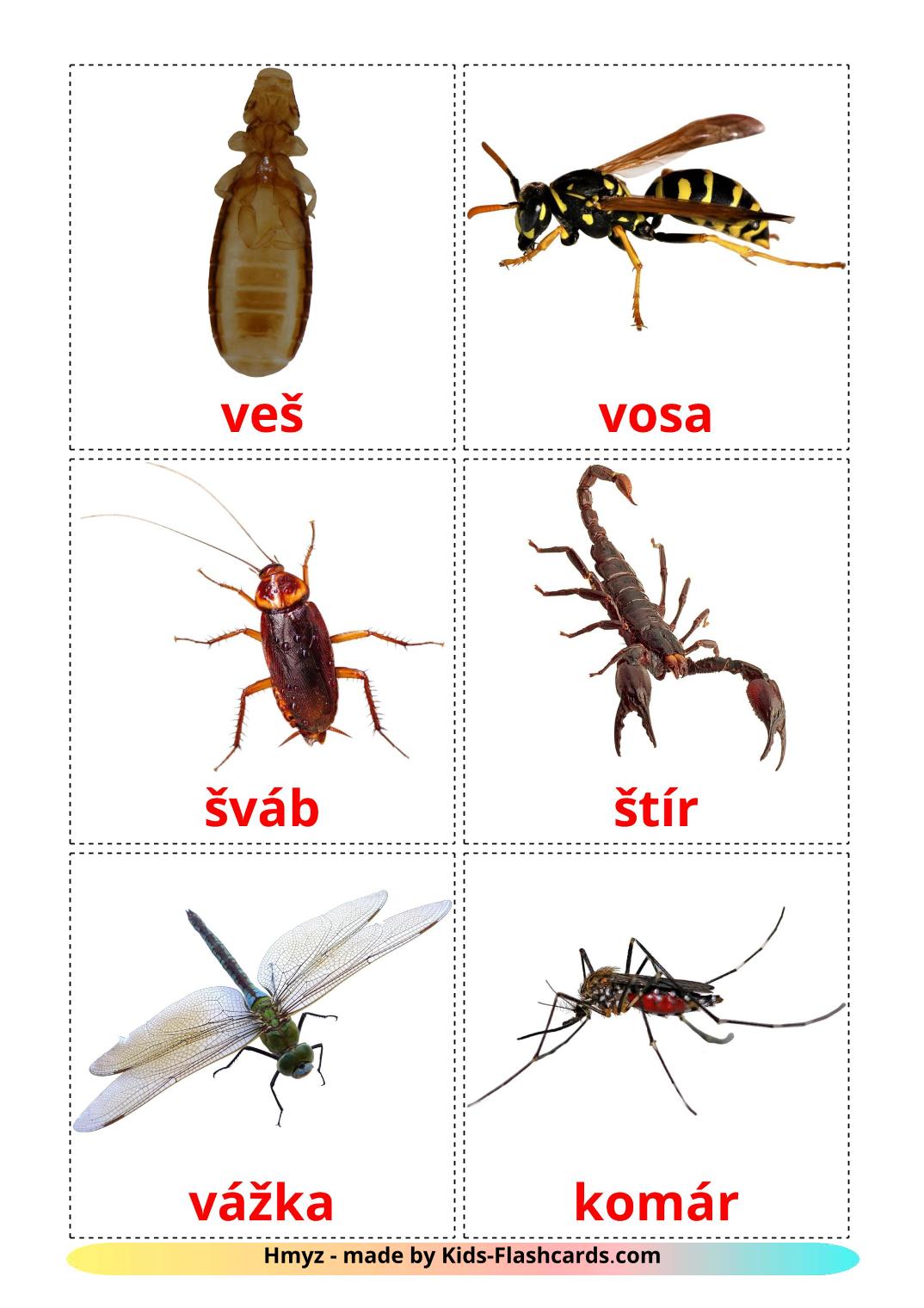 Les Insectes - 23 Flashcards tchèque imprimables gratuitement
