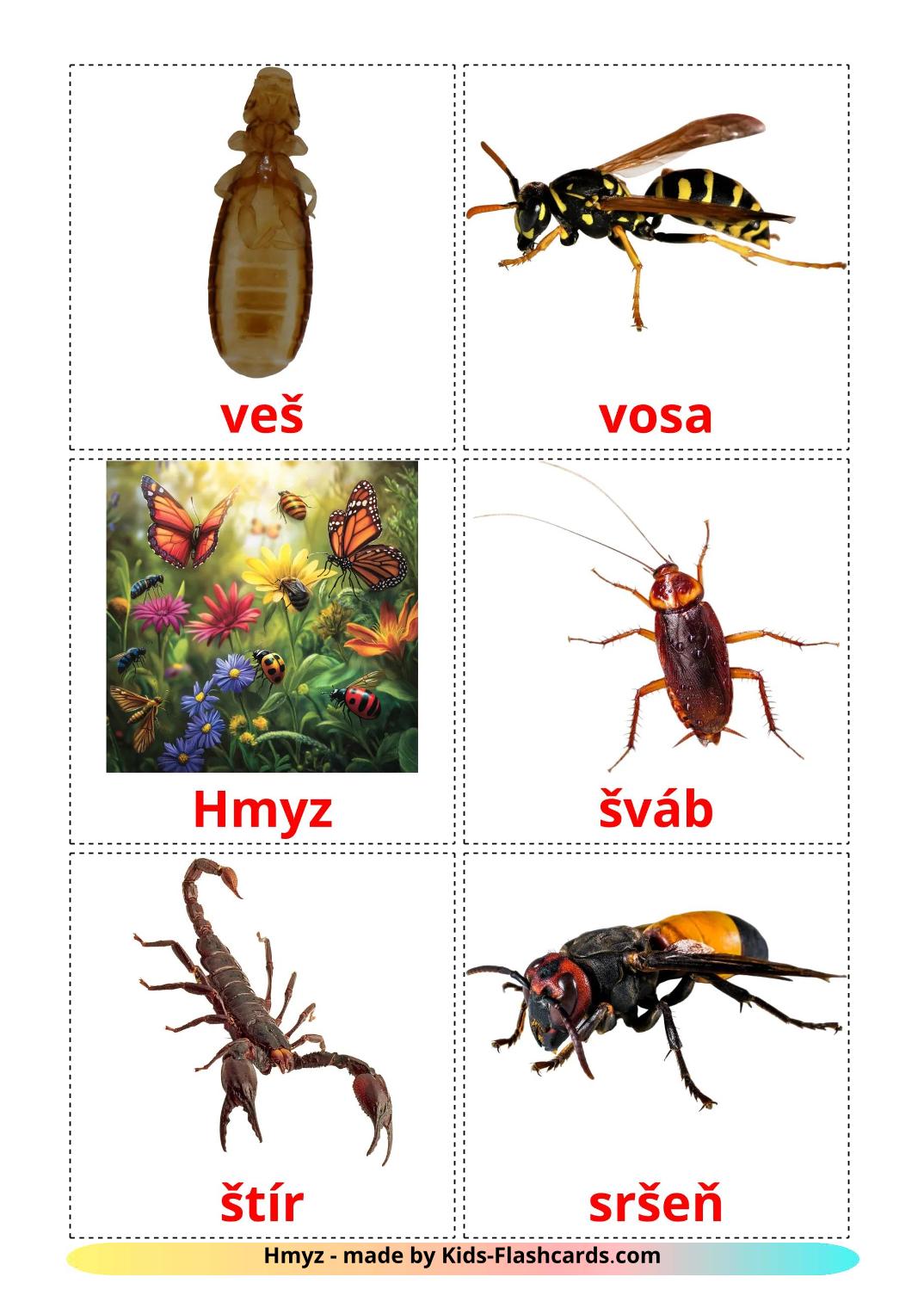 Insectos - 24 fichas de checo para imprimir gratis 