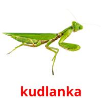kudlanka card for translate