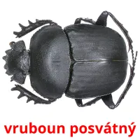 vruboun posvátný Tarjetas didacticas