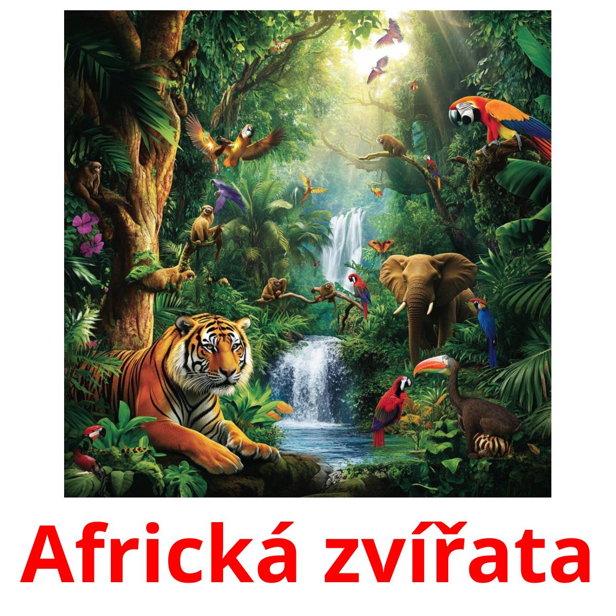 Africká zvířata Tarjetas didacticas