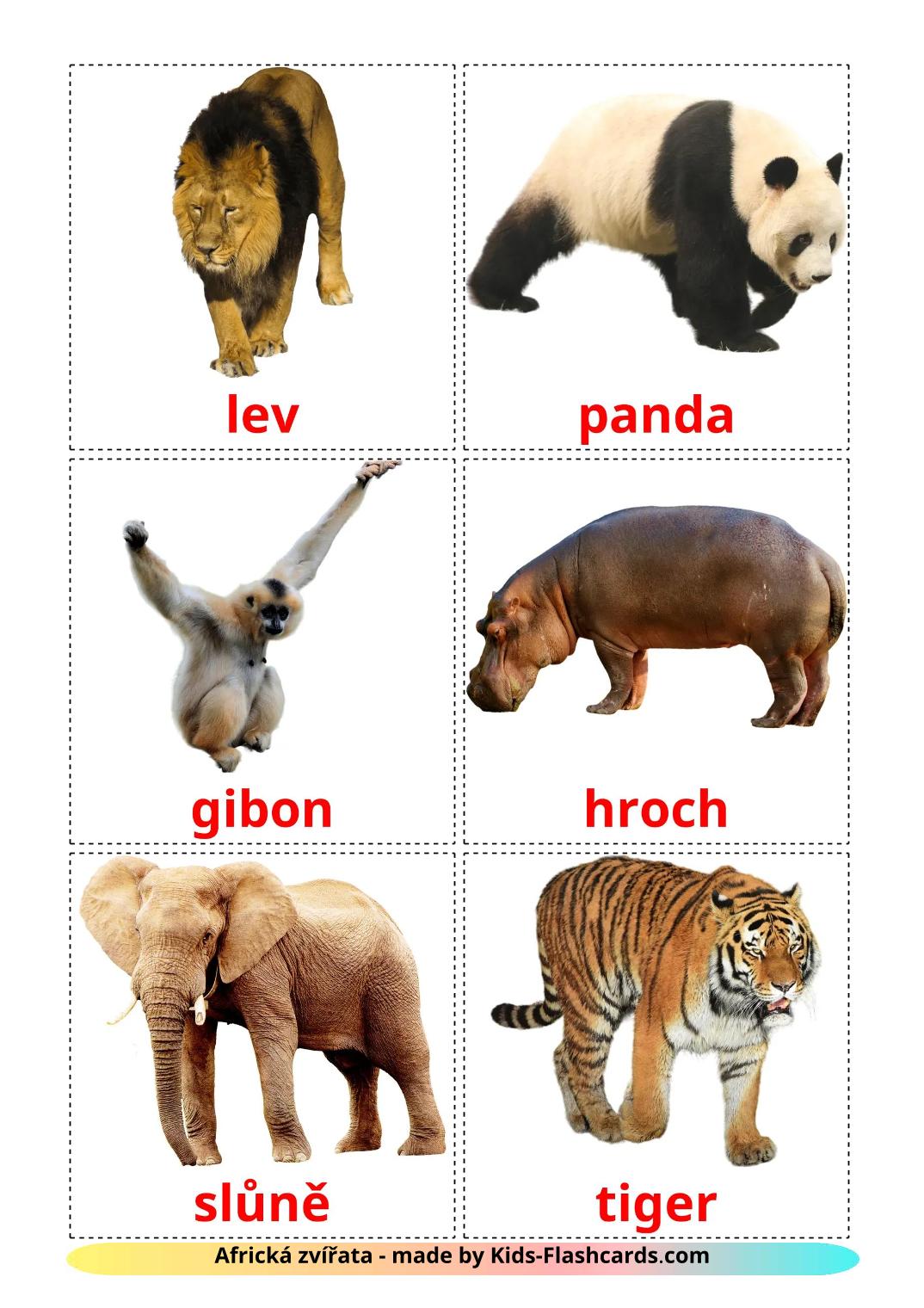 Les Animaux de la Jungle - 22 Flashcards tchèque imprimables gratuitement