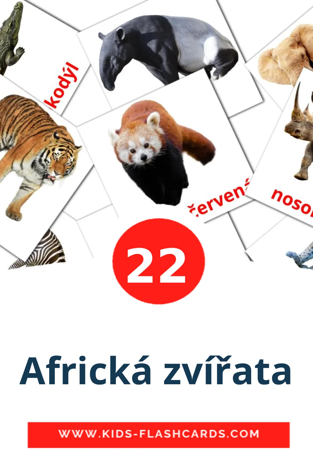 22 cartes illustrées de Africká zvířata pour la maternelle en tchèque