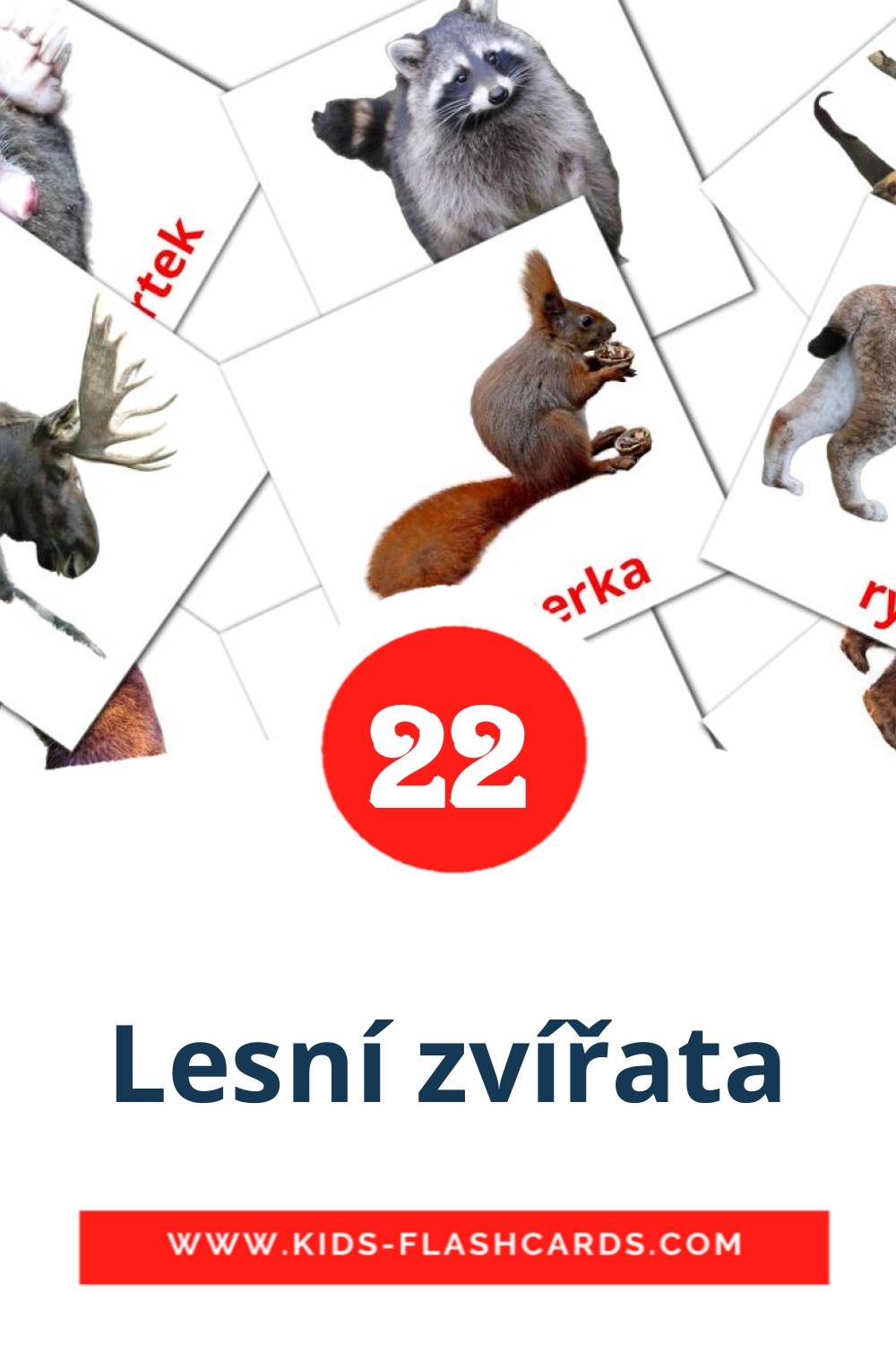 Lesní zvířata на чешском для Детского Сада (22 карточки)