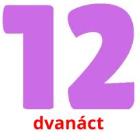 dvanáct picture flashcards