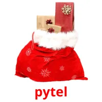 pytel Tarjetas didacticas